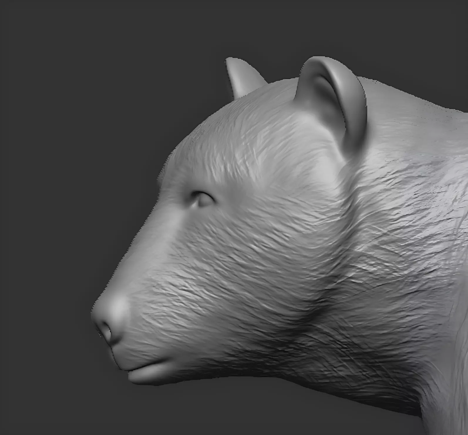 American black bear 3D print model_15