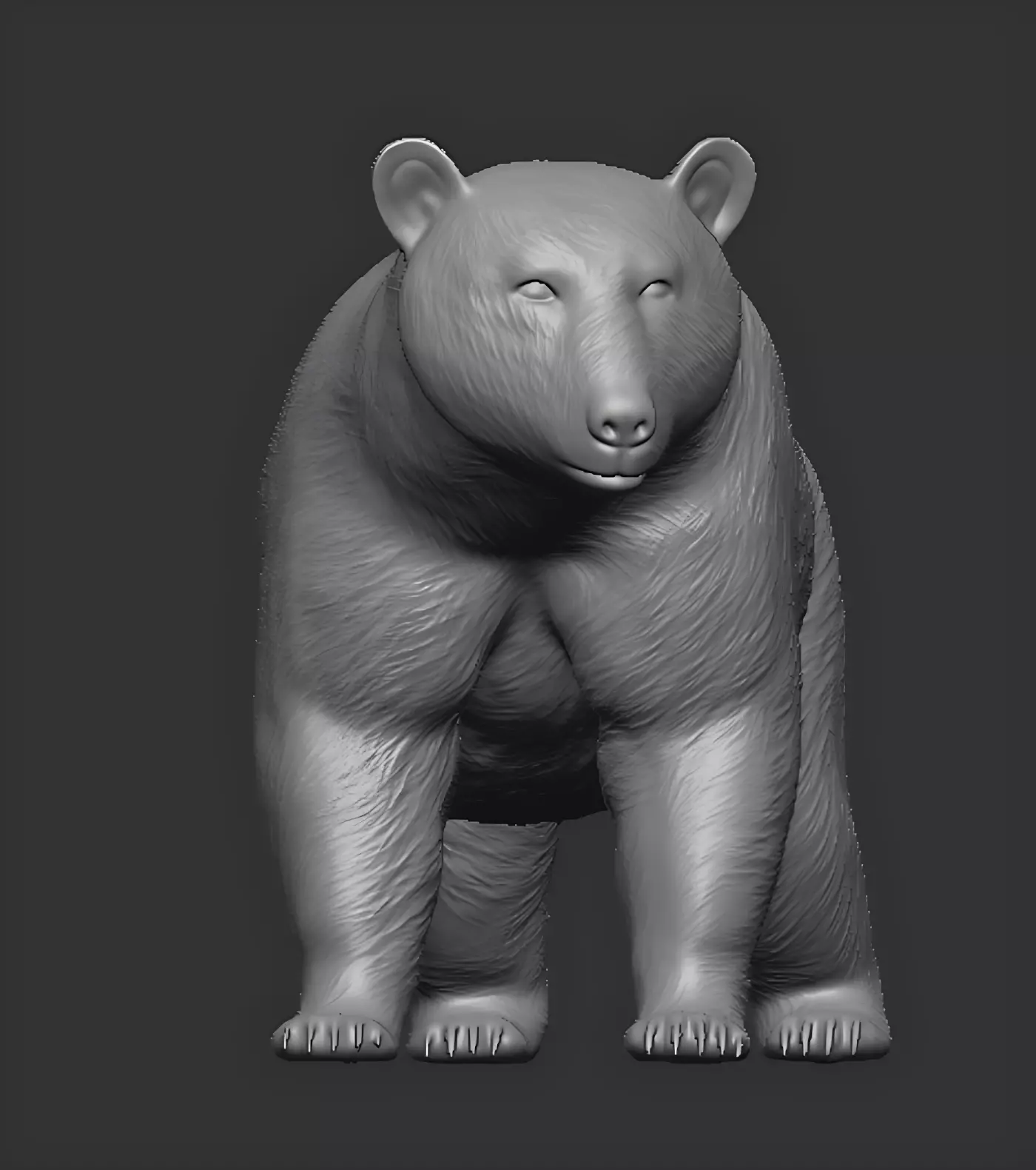 American black bear 3D print model_6