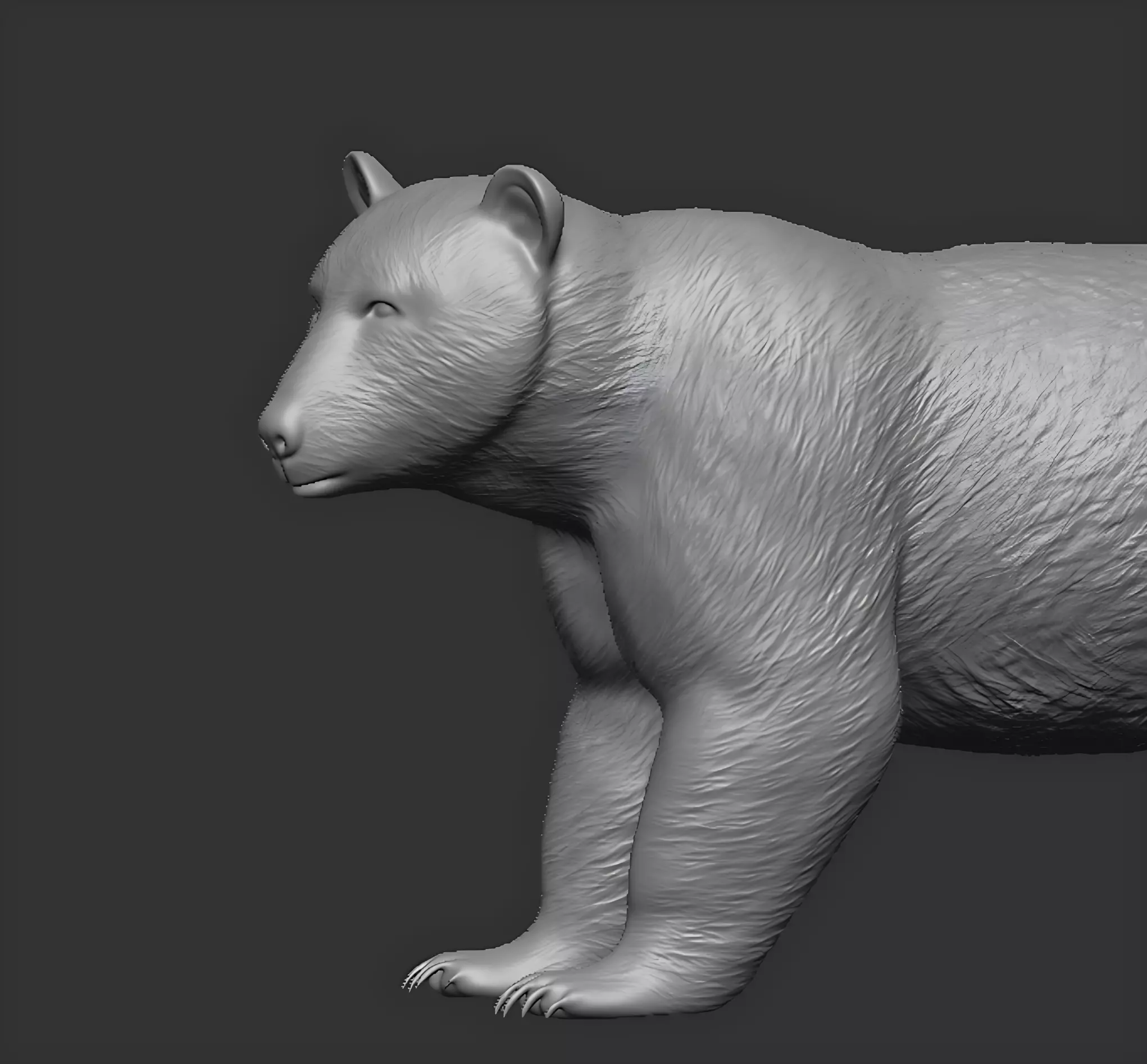 American black bear 3D print model_13