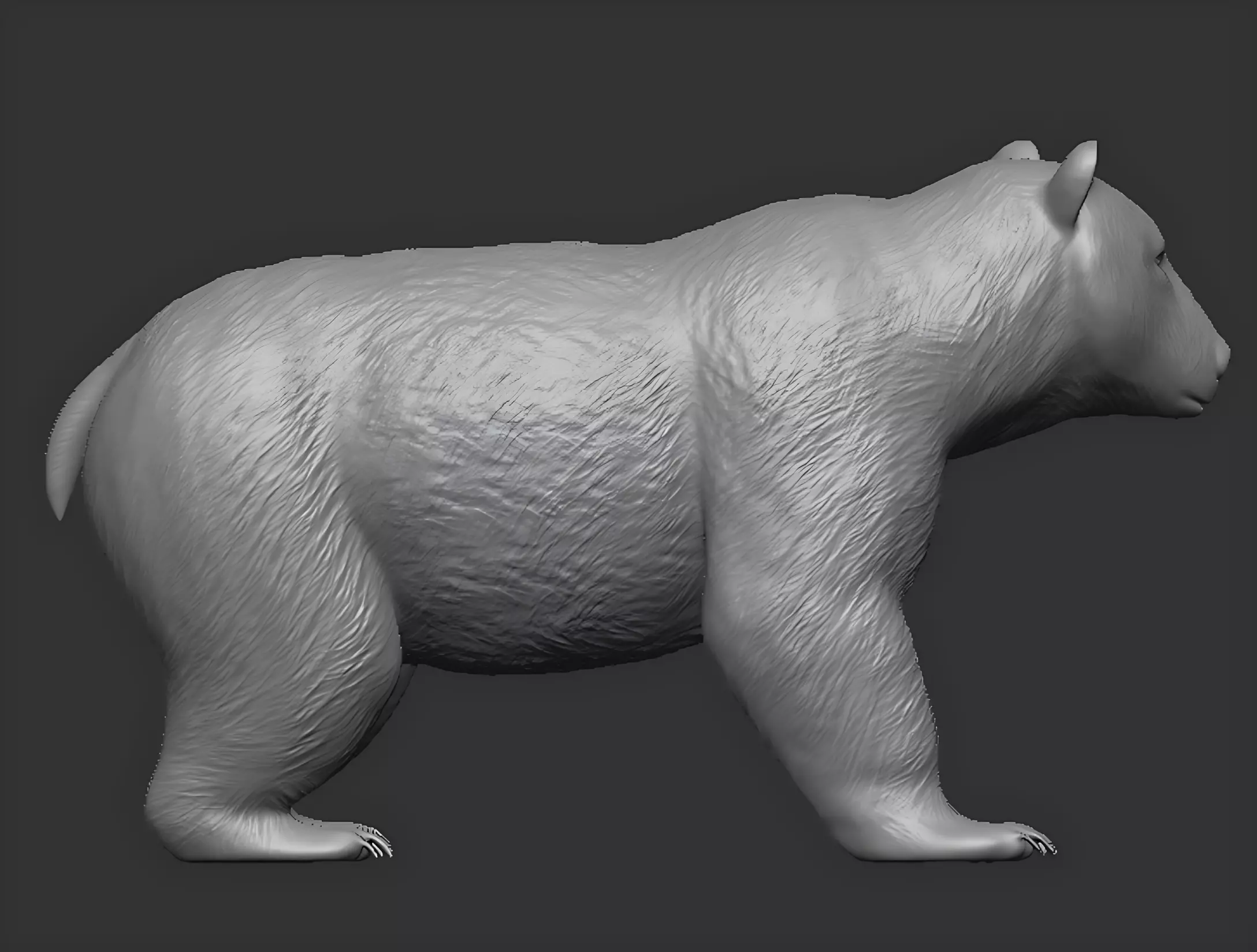 American black bear 3D print model_5