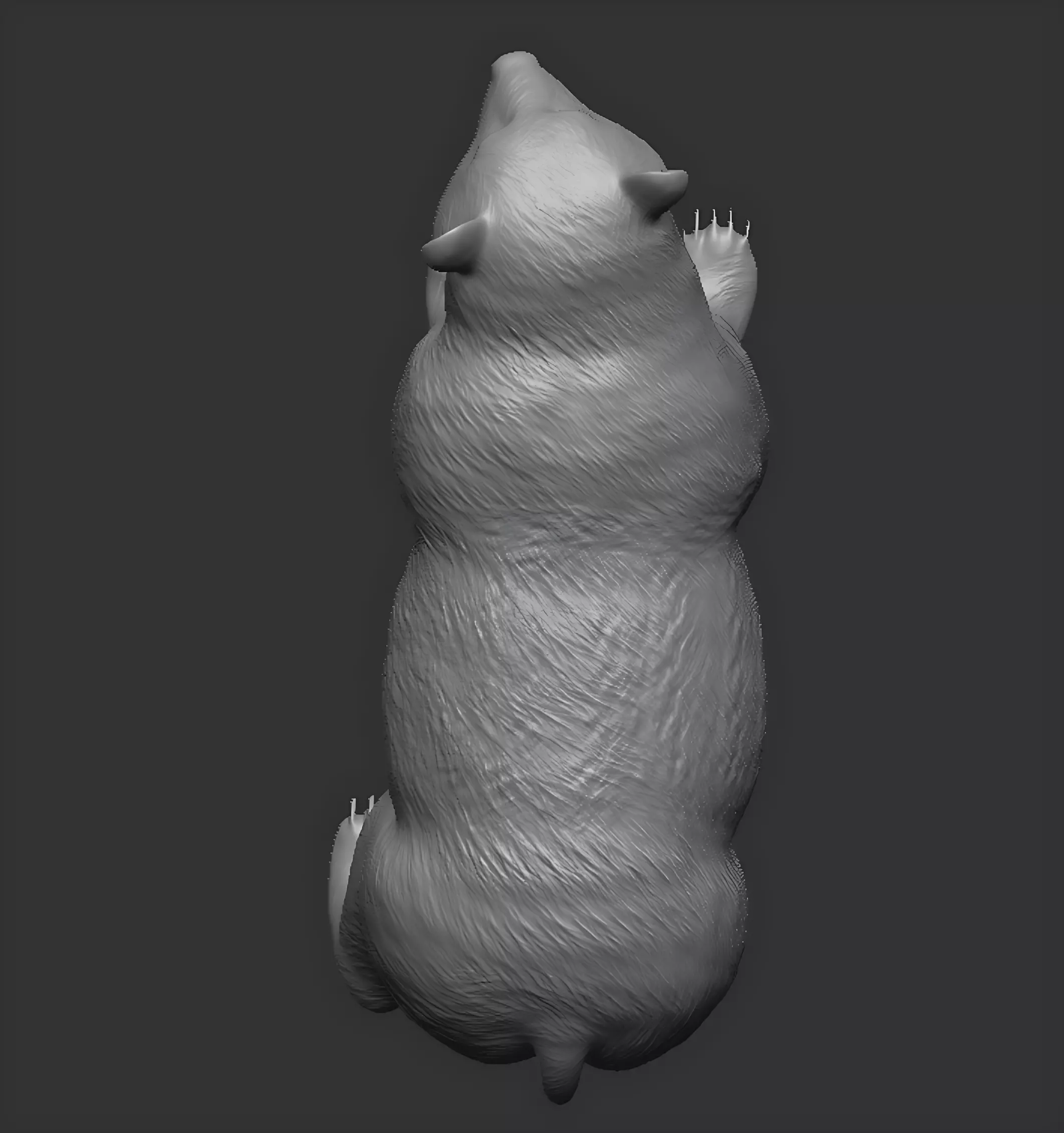 American black bear 3D print model_9