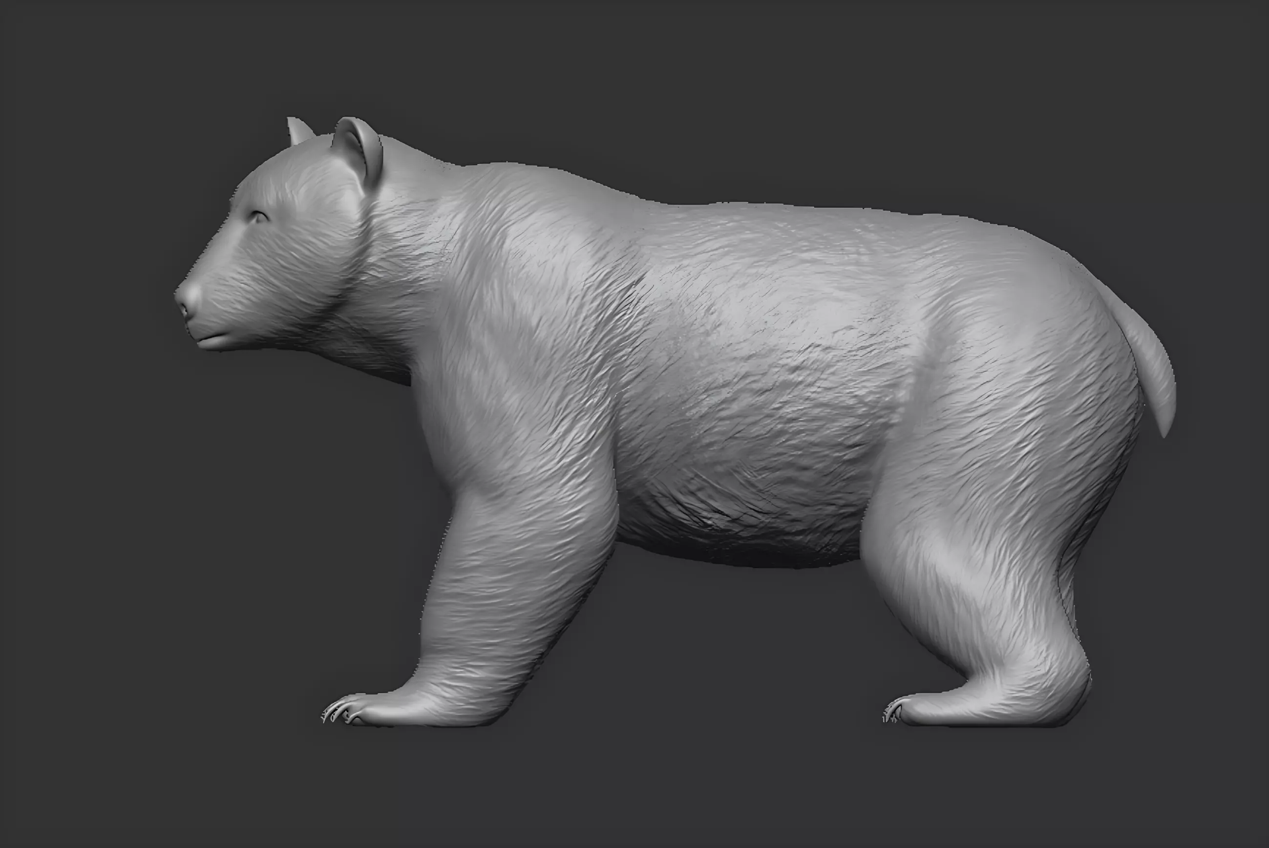 American black bear 3D print model_1