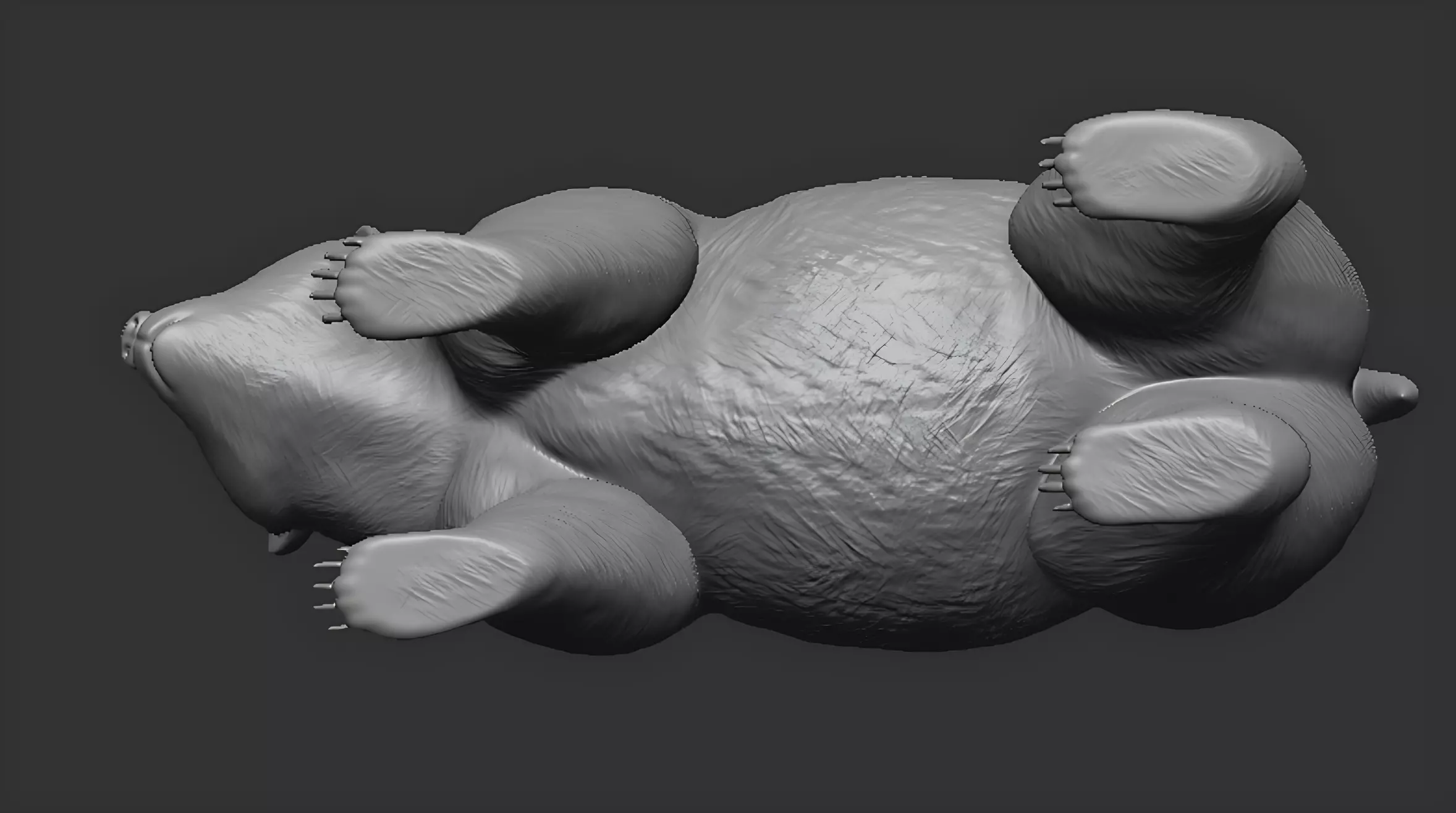 American black bear 3D print model_11