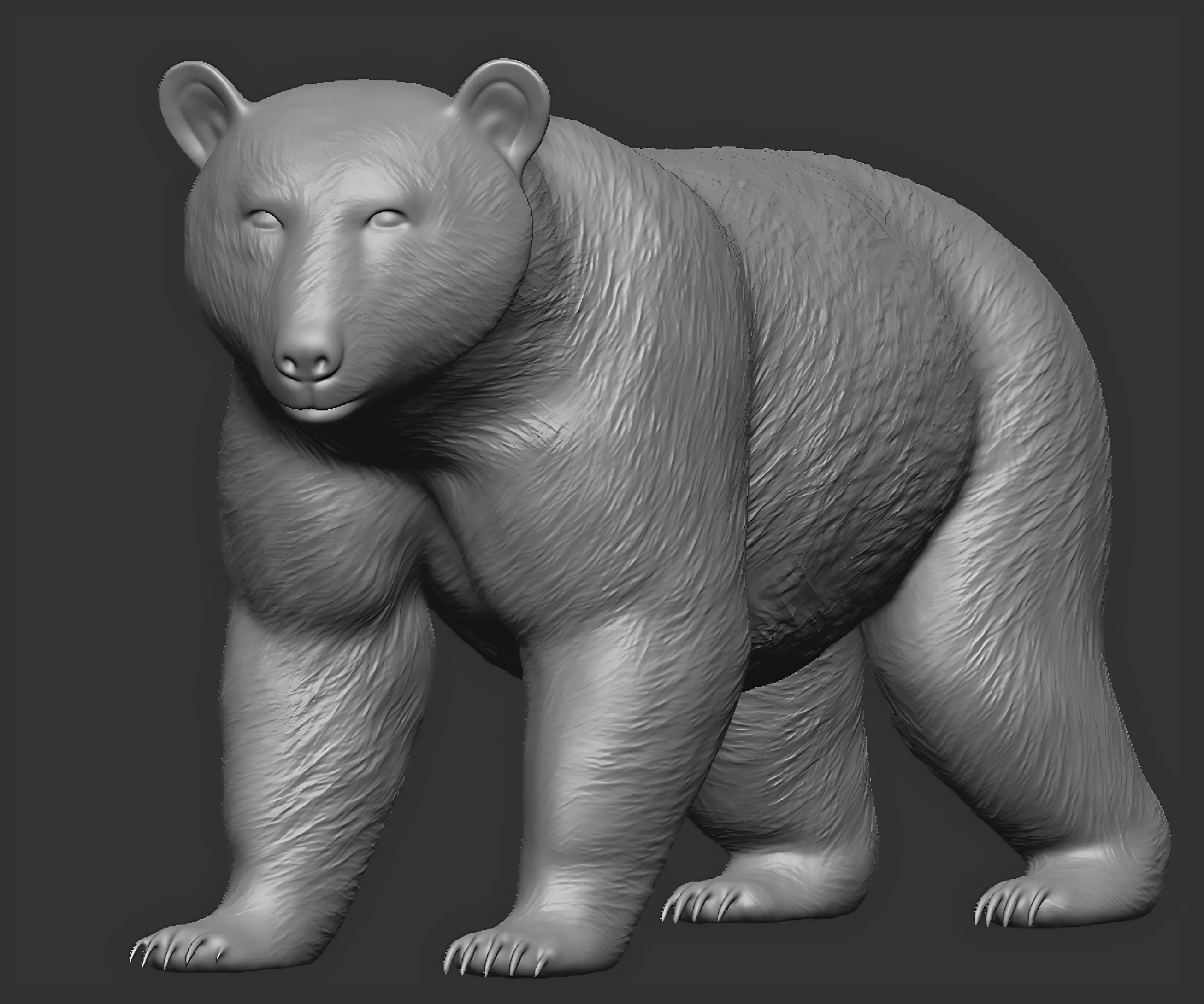 American black bear 3D print model_10
