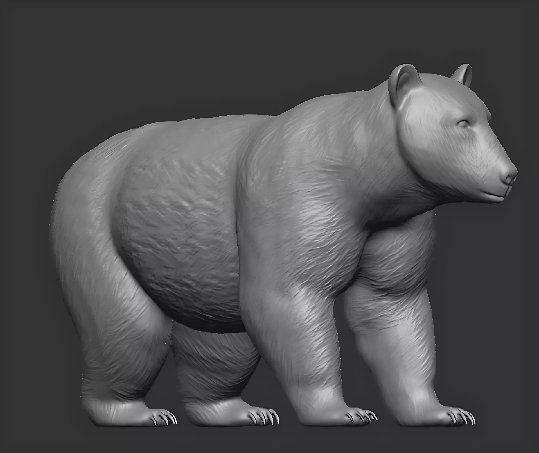 American black bear 3D print model_7