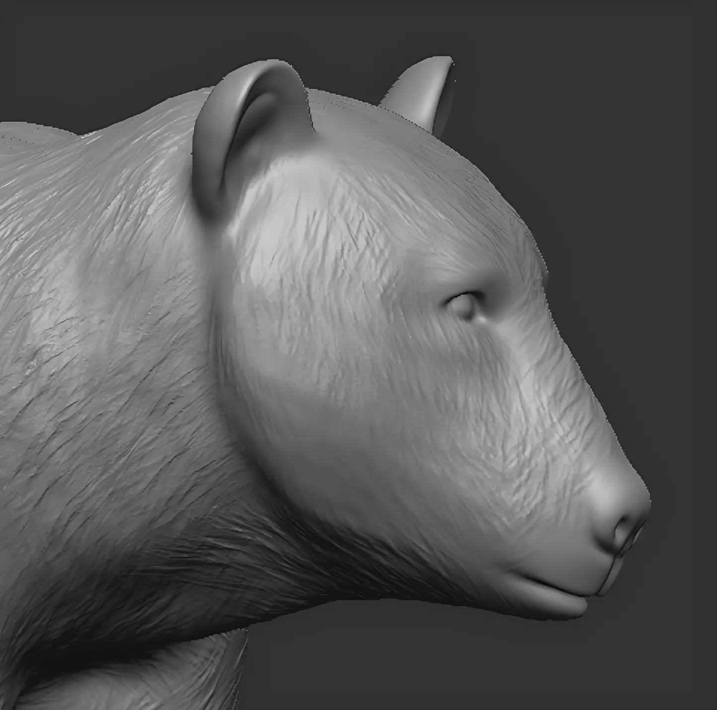American black bear 3D print model_17