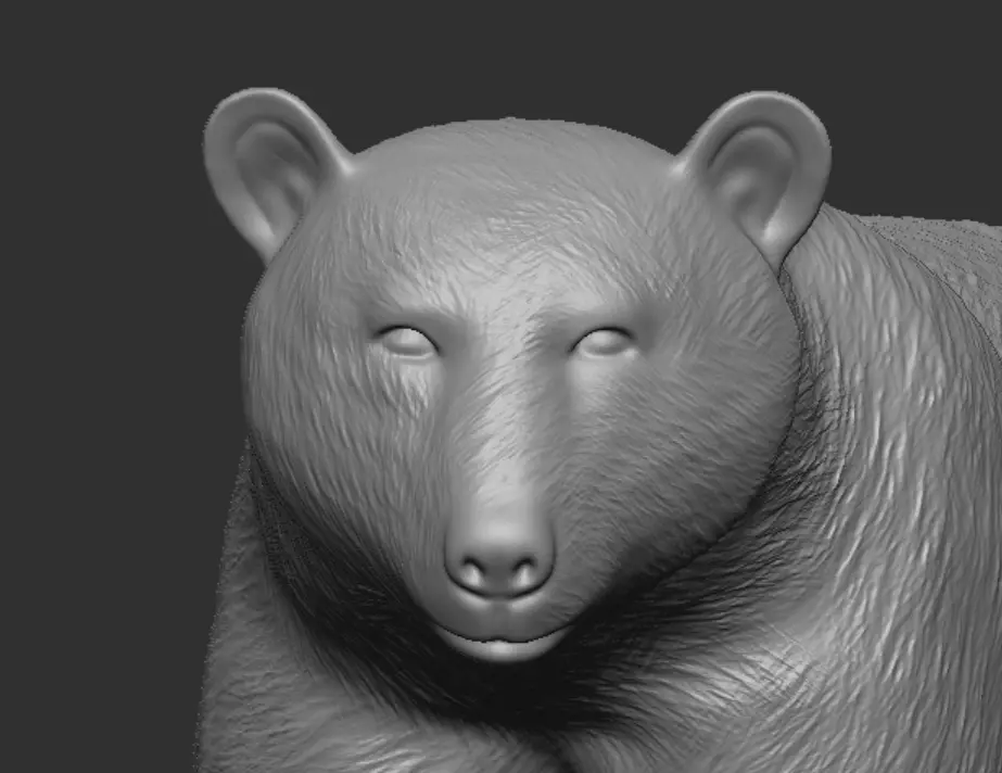 American black bear 3D print model_16