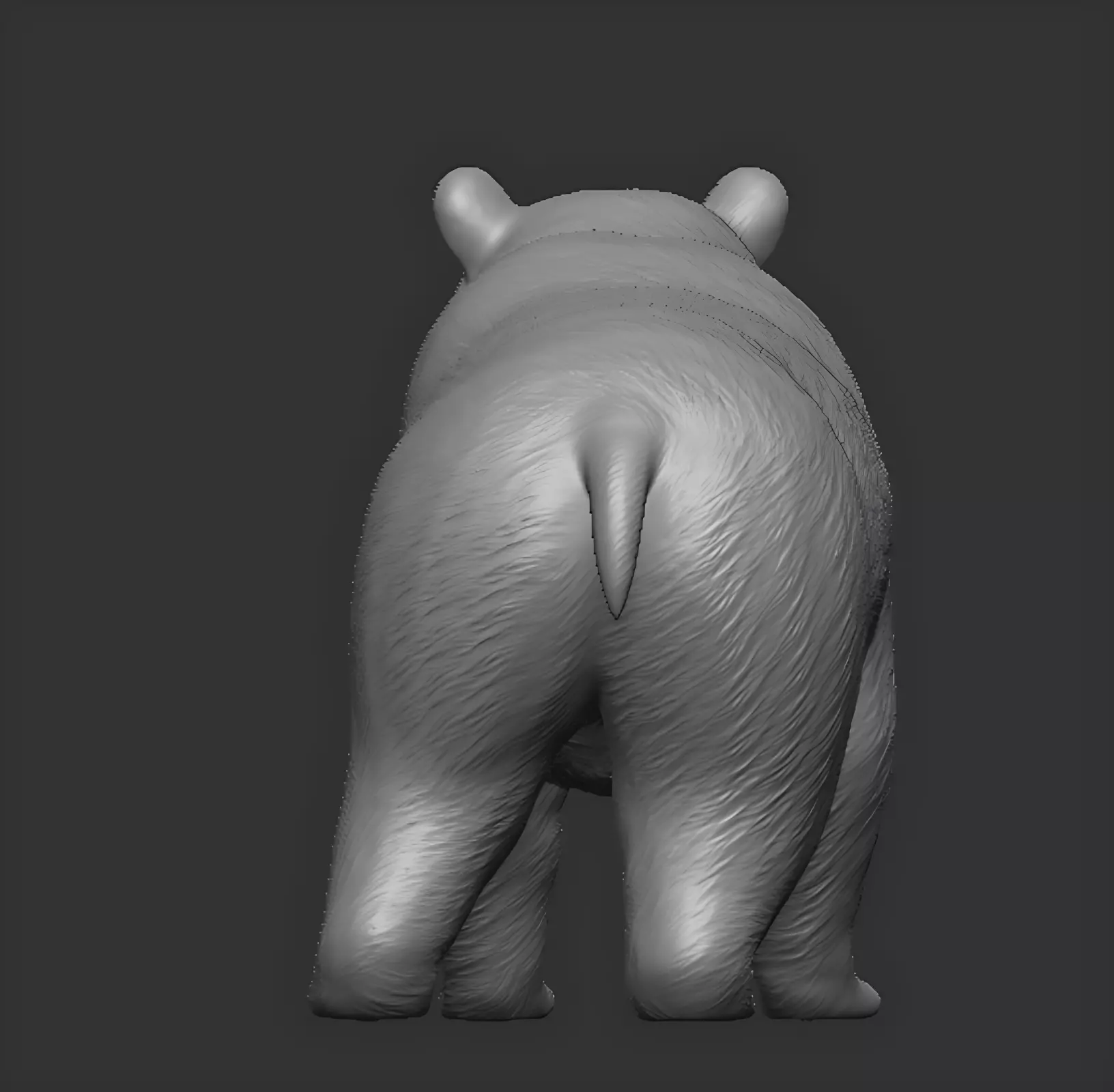 American black bear 3D print model_4