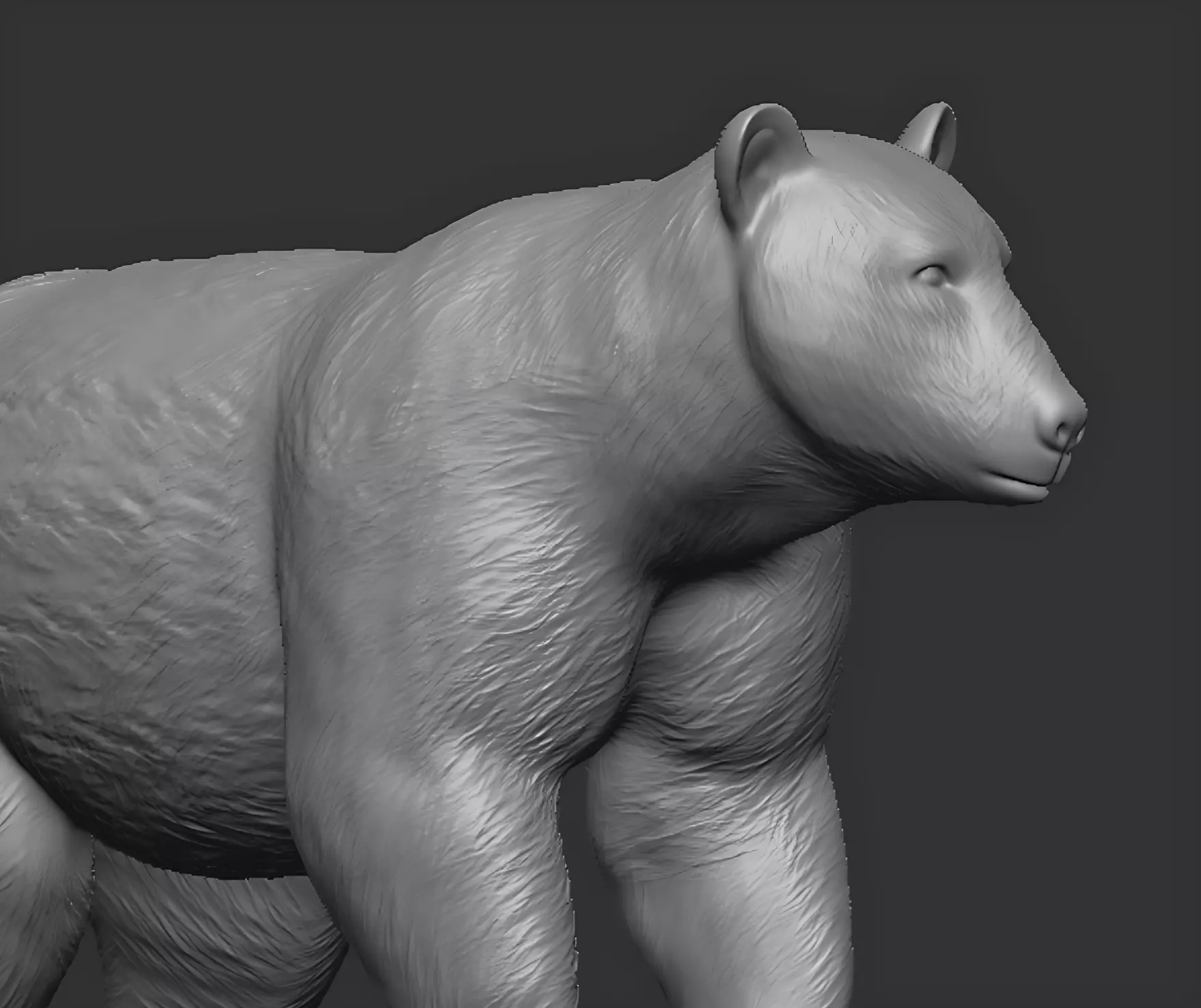 American black bear 3D print model_12