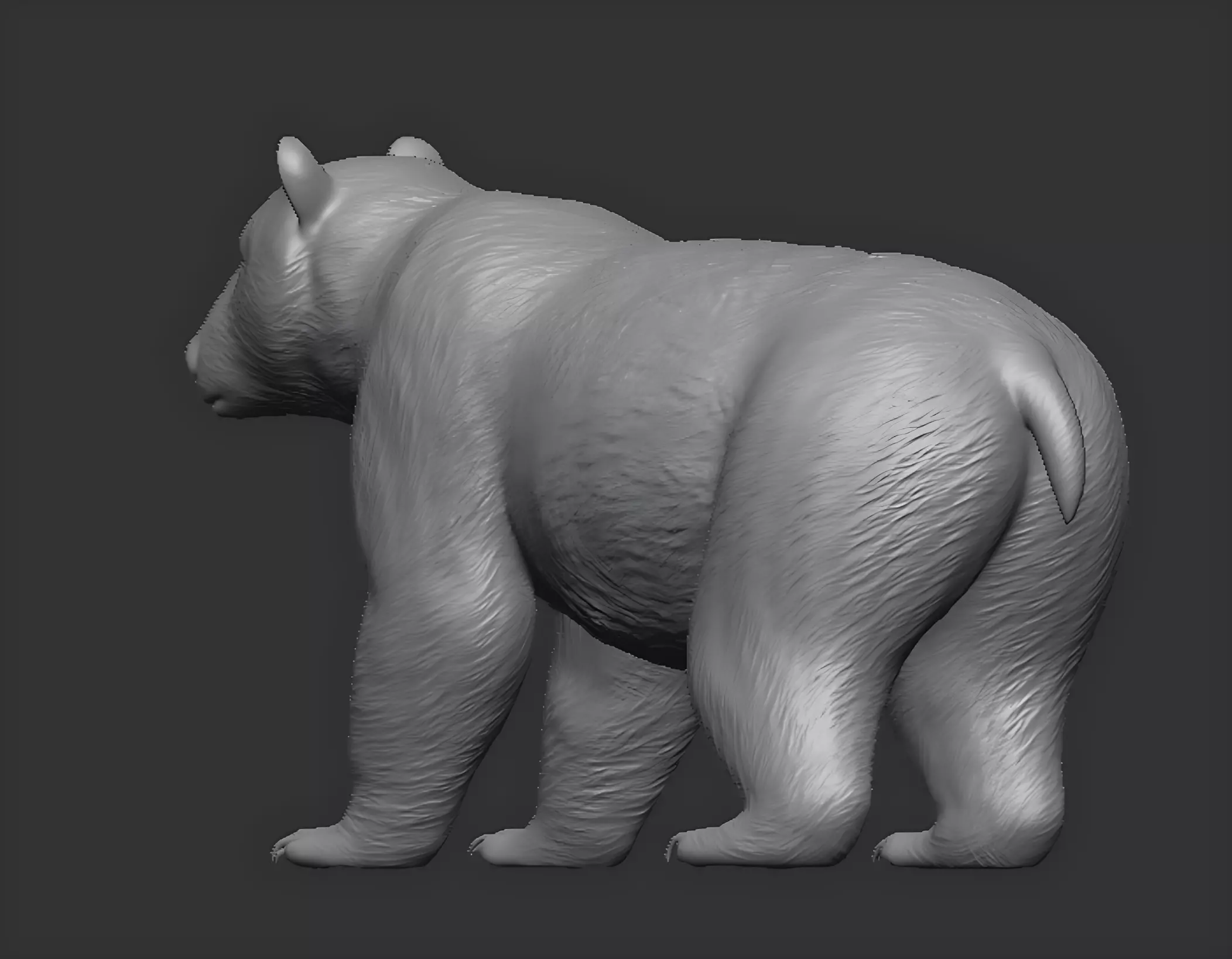 American black bear 3D print model_2