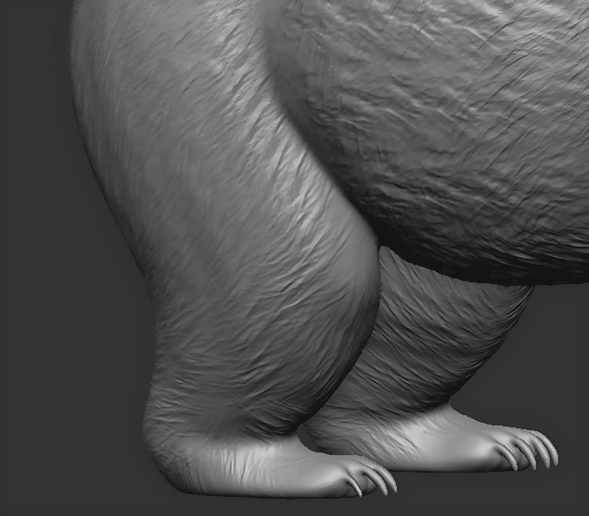 American black bear 3D print model_18