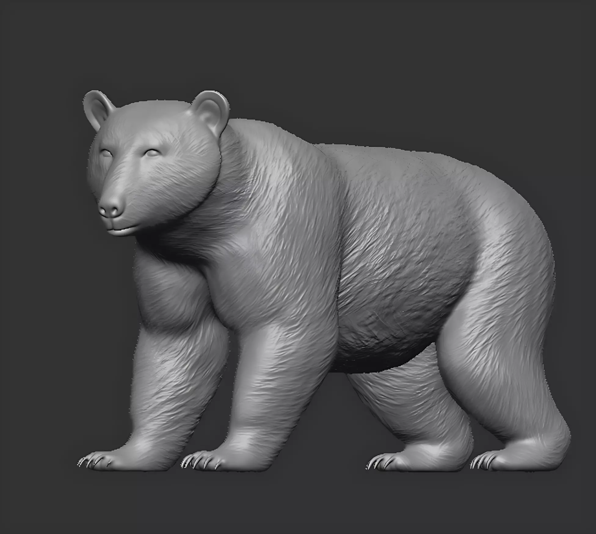 American black bear 3D print model_8