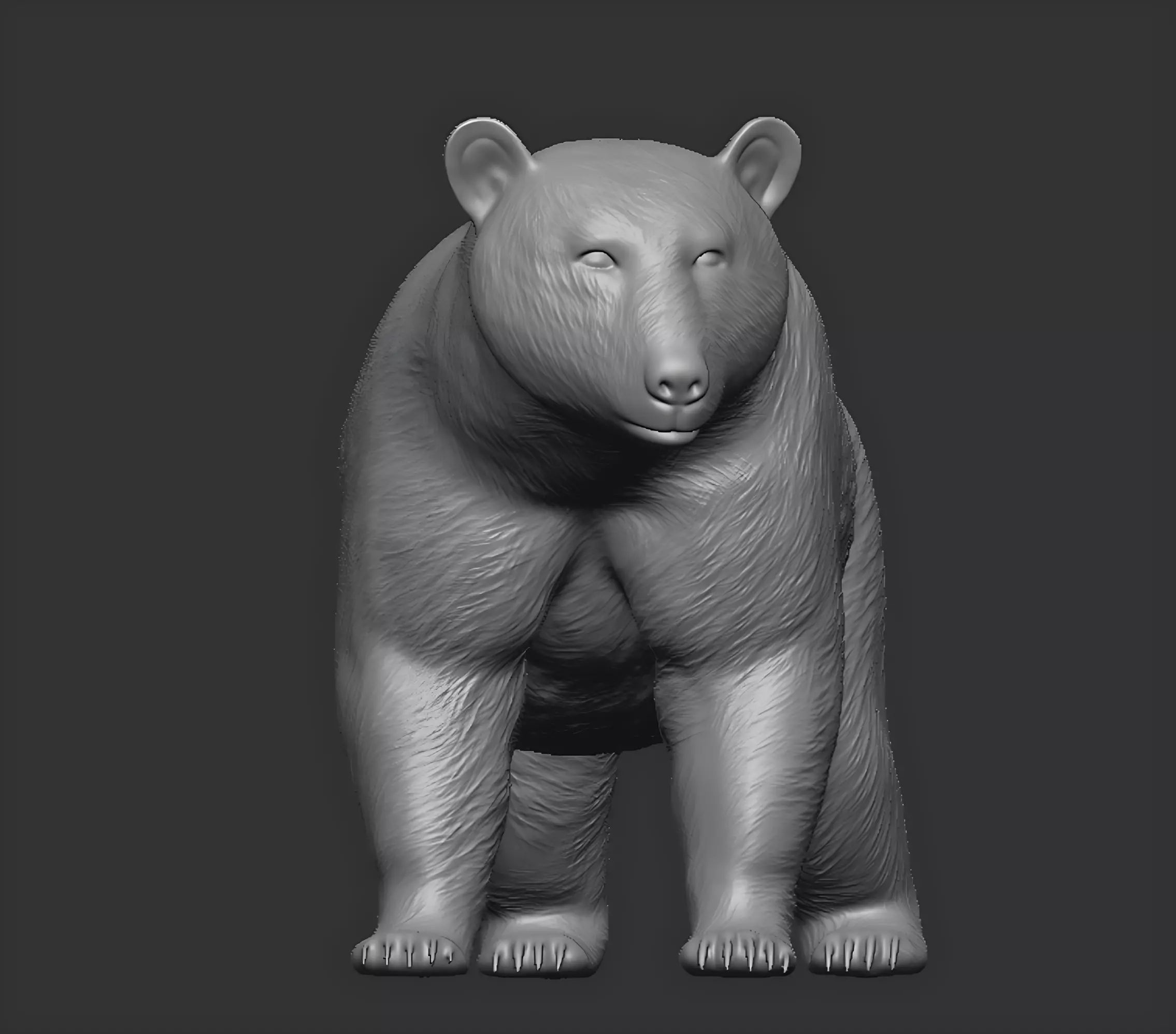 American black bear 3D print model_14