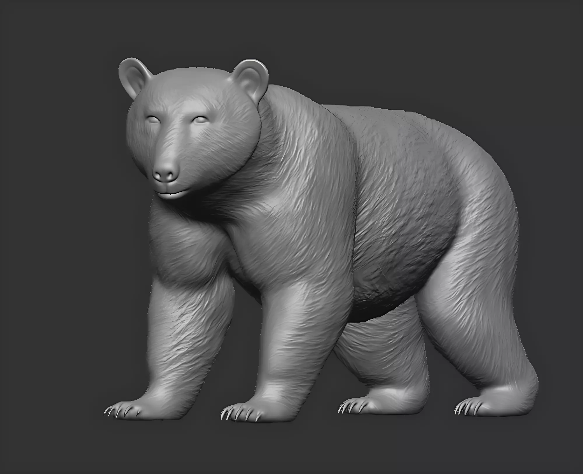 American black bear 3D print model_0