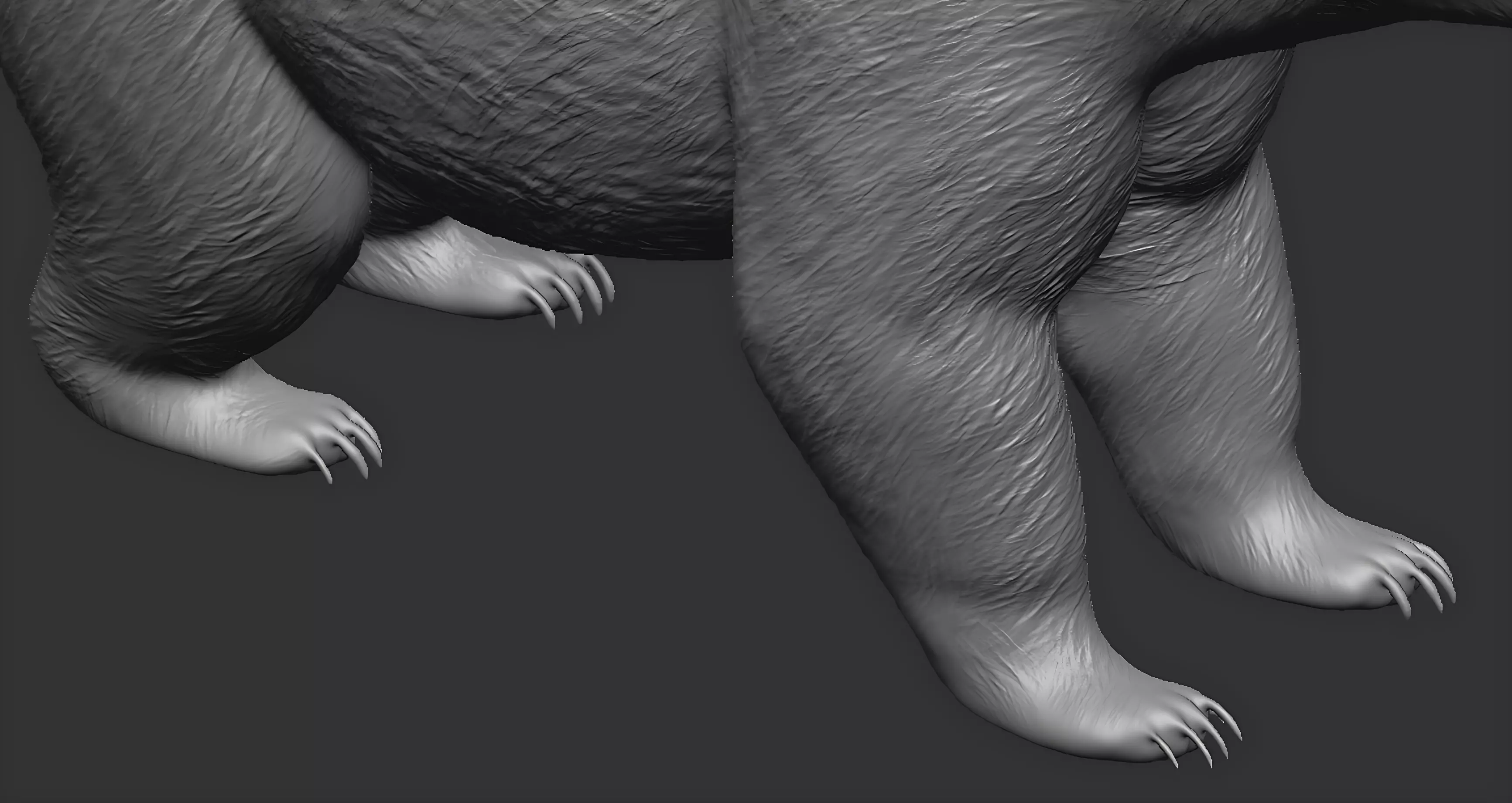 American black bear 3D print model_19