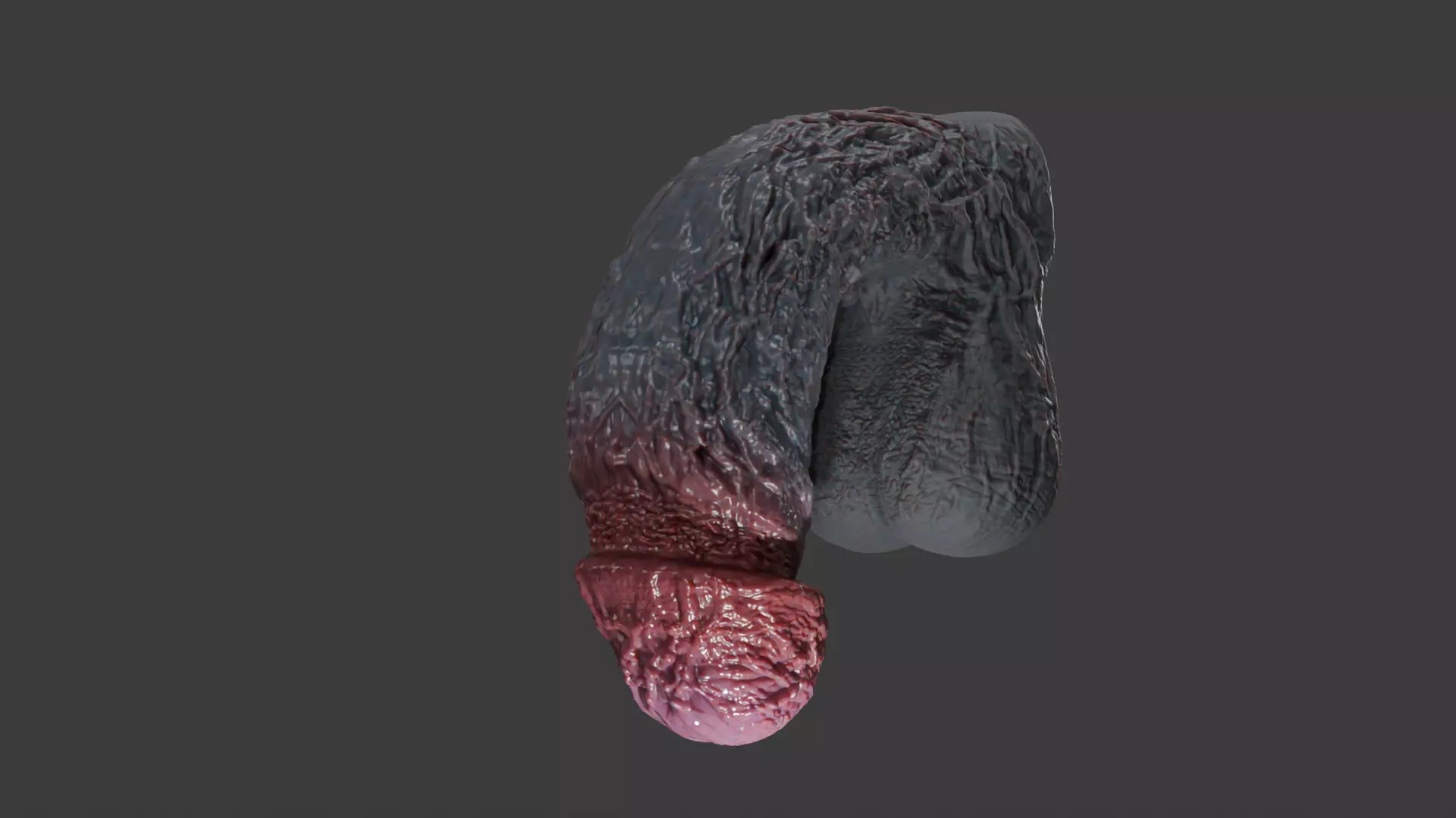 Lorkaz Fleshy Monster Penis and balls Rigged Low-poly 3D model_7