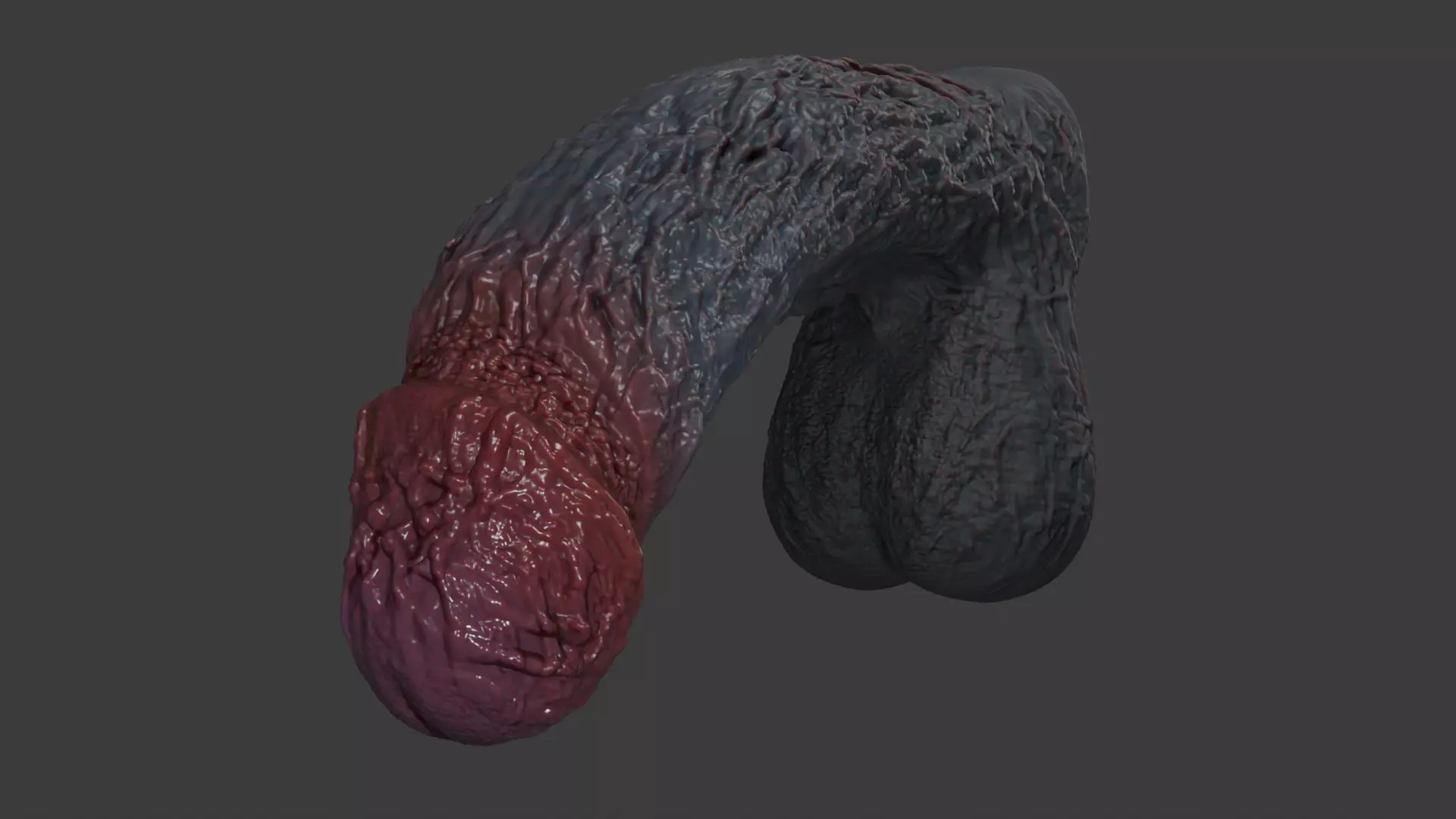 Lorkaz Fleshy Monster Penis and balls Rigged Low-poly 3D model_9