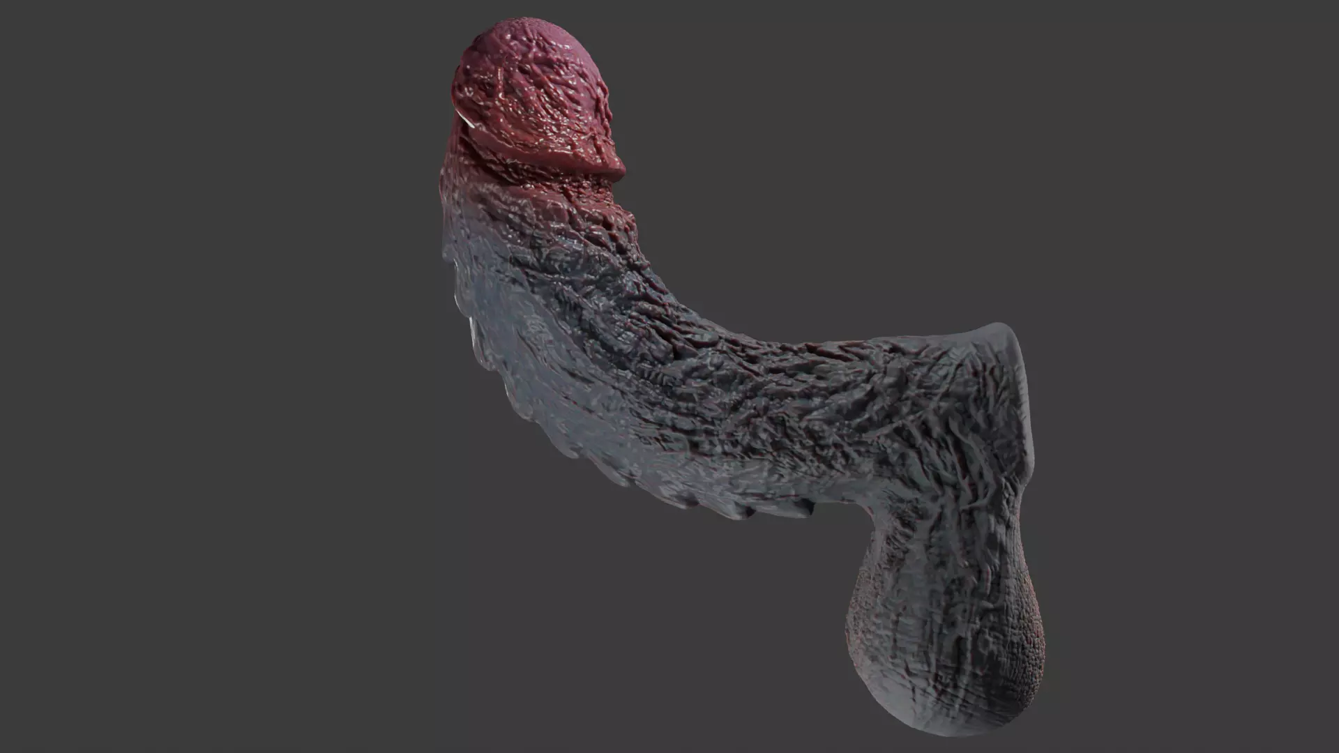 Lorkaz Fleshy Monster Penis and balls Rigged Low-poly 3D model_4
