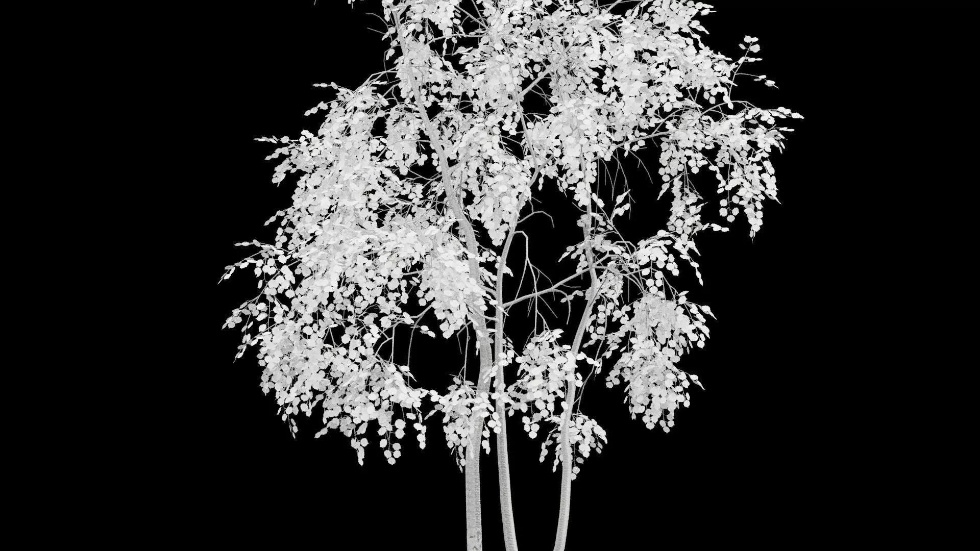 Birch Tree With White Leaves Low-poly 3D model_2