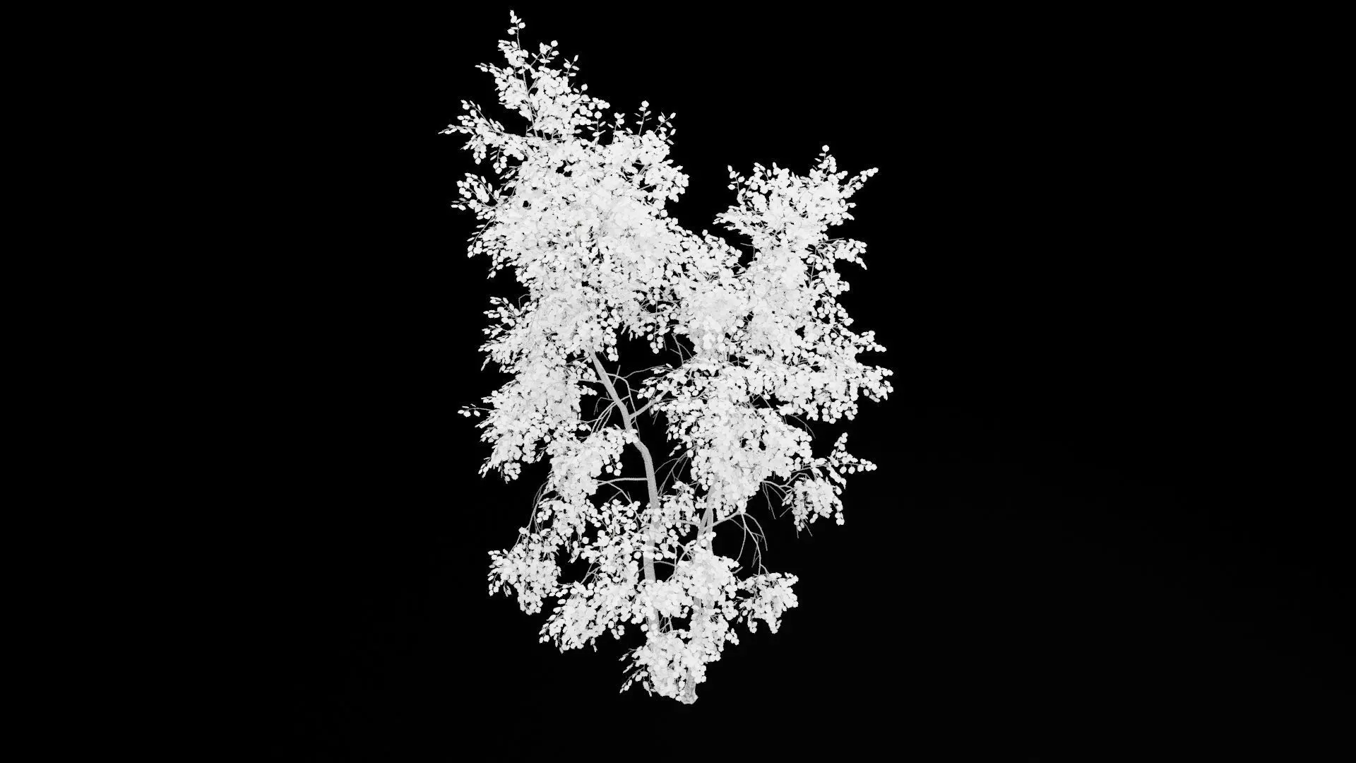Birch Tree With White Leaves Low-poly 3D model_6