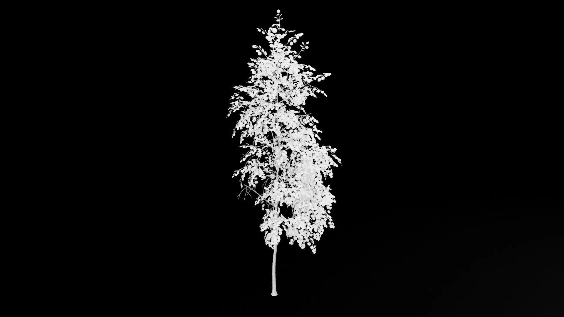 Birch Tree With White Leaves Low-poly 3D model_7