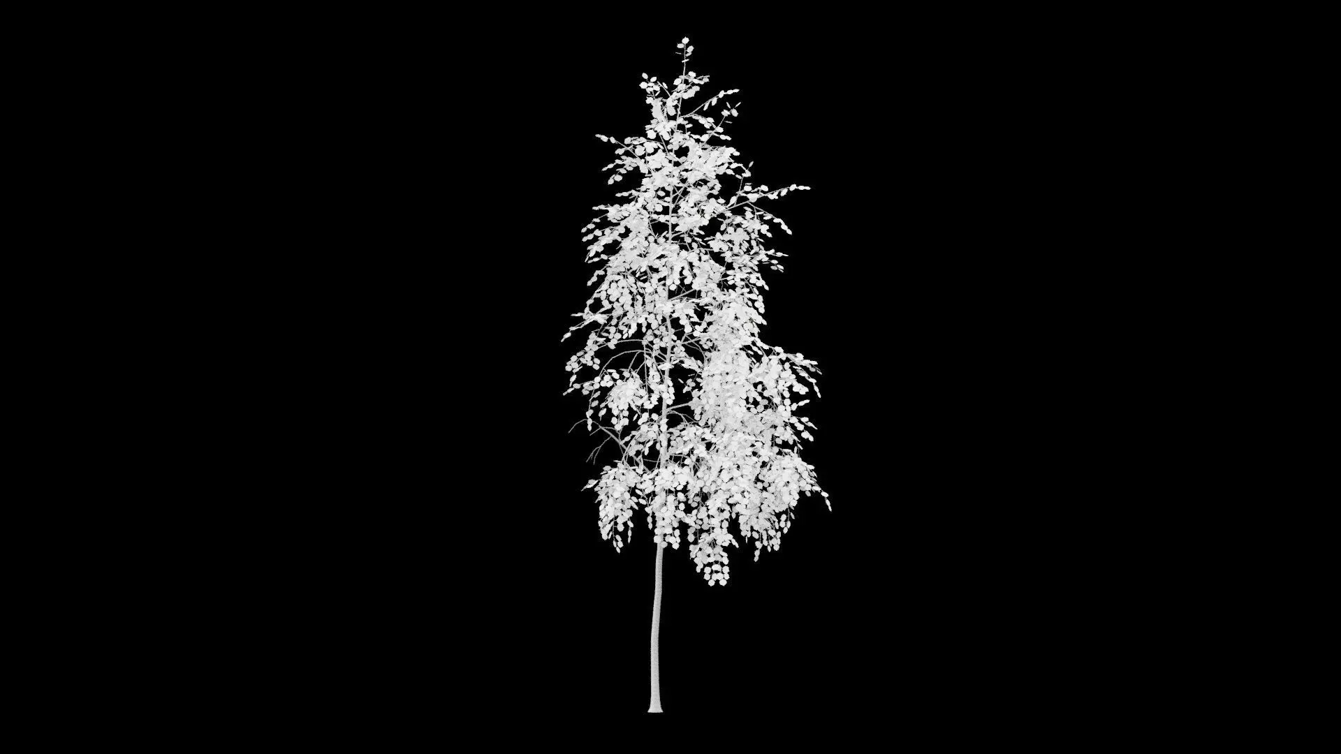 Birch Tree With White Leaves Low-poly 3D model_3