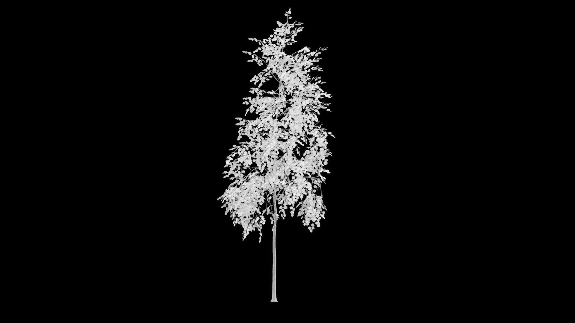 Birch Tree With White Leaves Low-poly 3D model_5