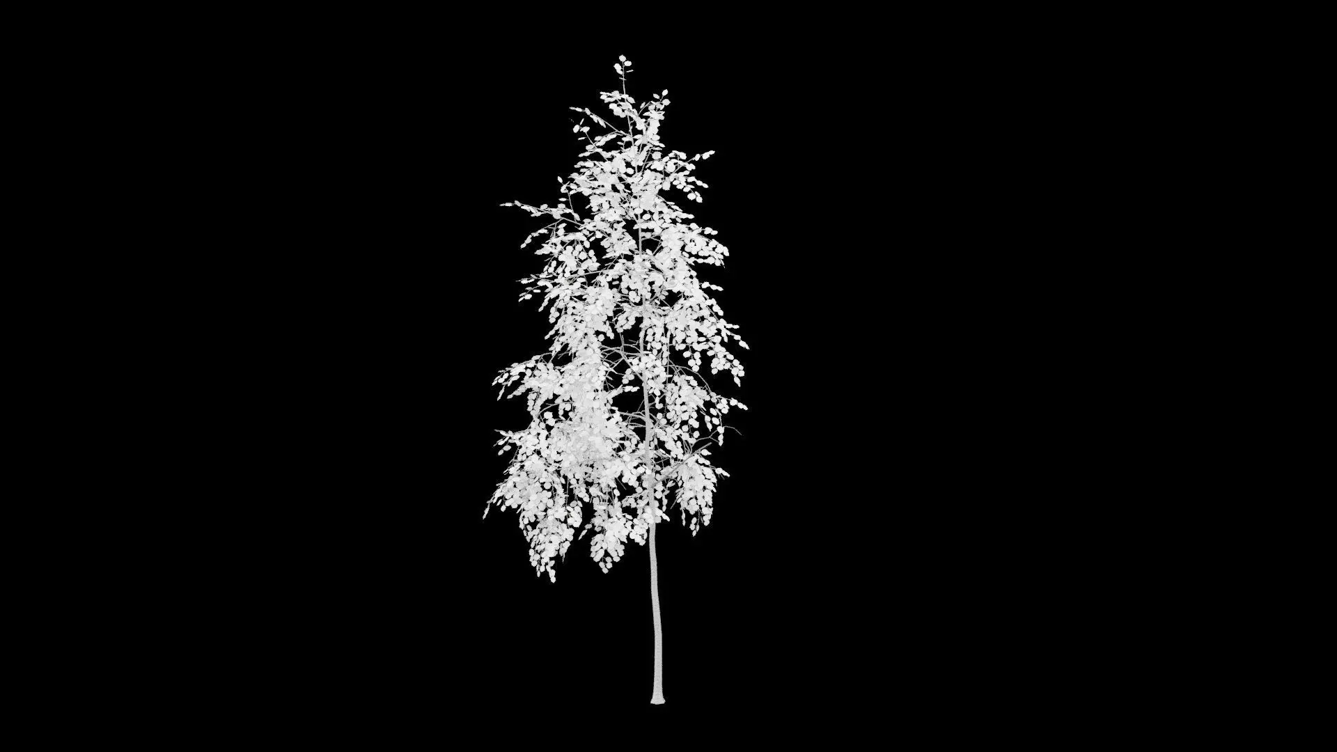 Birch Tree With White Leaves Low-poly 3D model_4