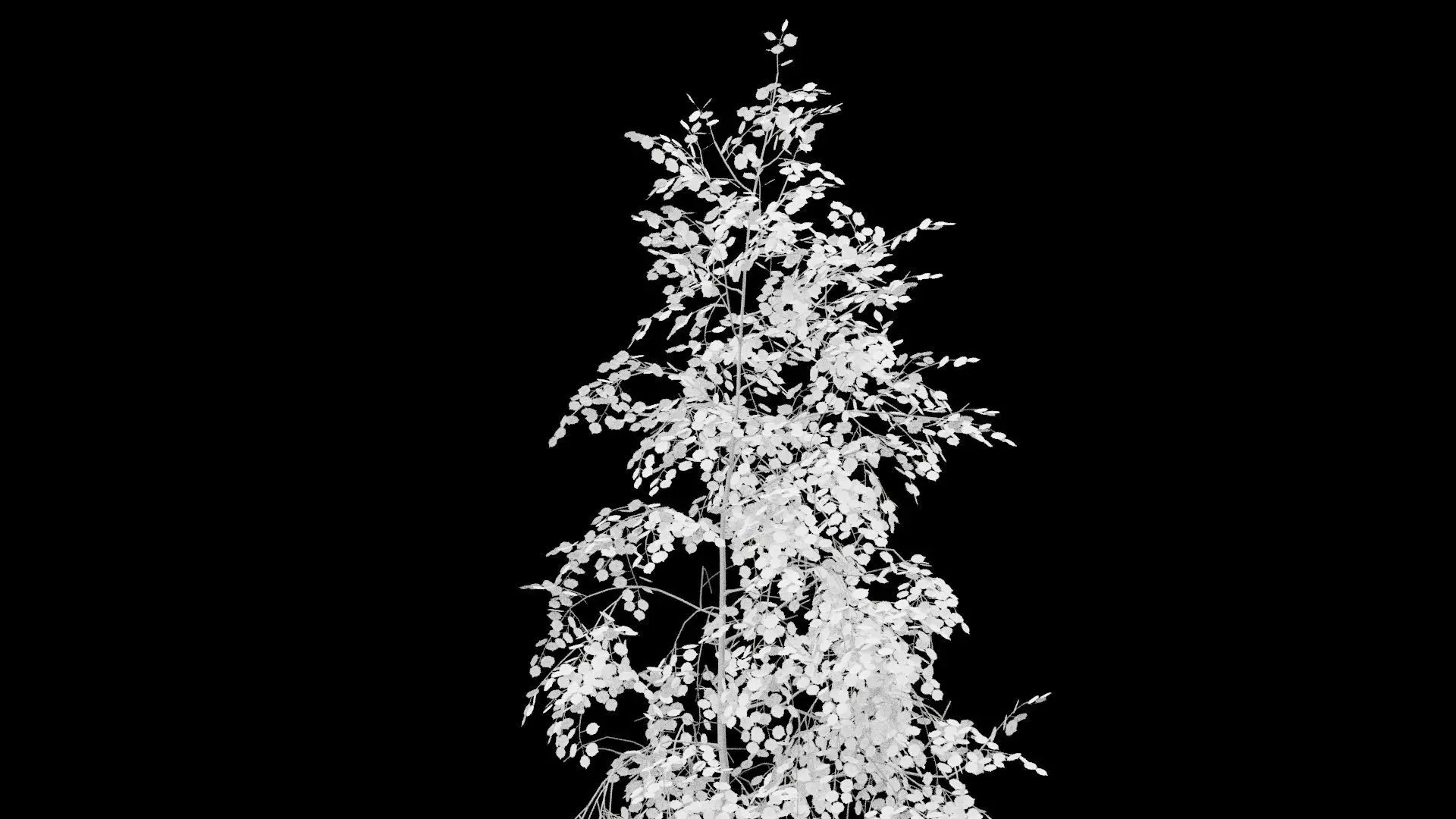 Birch Tree With White Leaves Low-poly 3D model_1