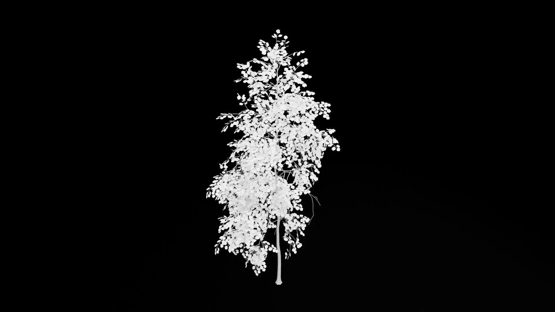Birch Tree With White Leaves Low-poly 3D model_6