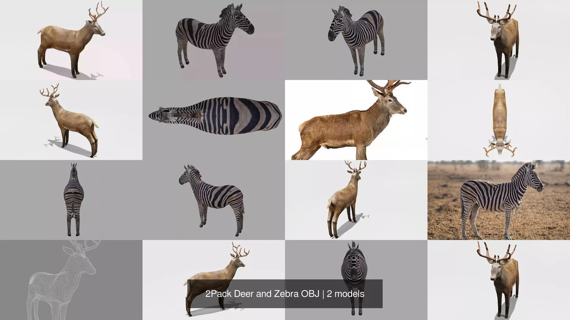 2Pack Deer and Zebra OBJ 3D Model Collection_0