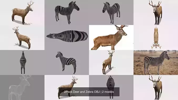 2Pack Deer and Zebra OBJ 3D Model Collection