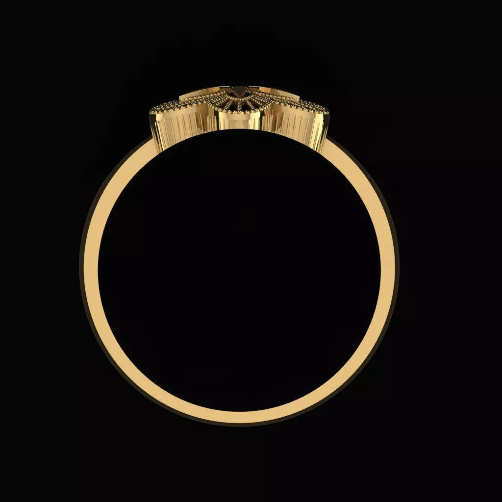 Minimalist Turkish Ring 3D print model_2
