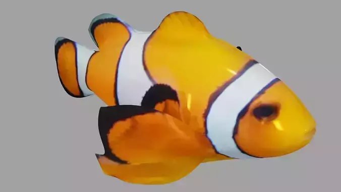 Clownfish OBJ and Blender