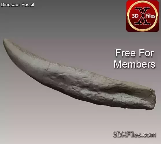 T-rex Tooth - Dinosaur Fossil - 3D Print File STL - 3D Model