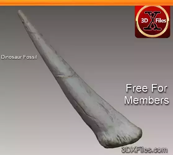 Stegosaurus Tail Spike - Dinosaur Fossil - 3D Print File STL 3D print model