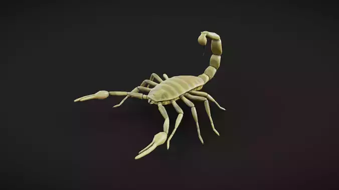 Scorpion - Read Description