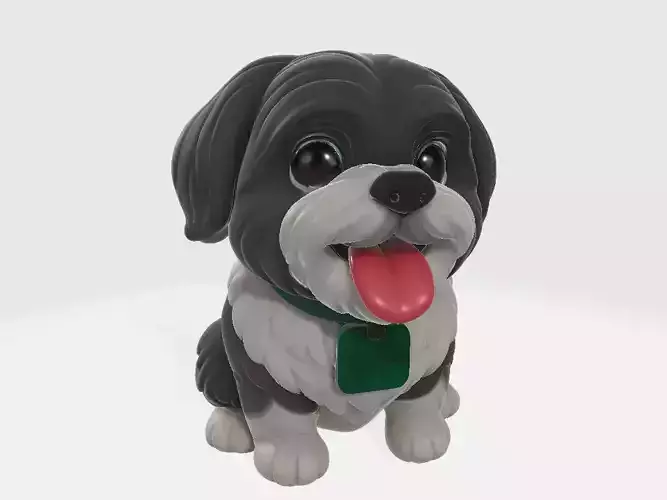 Shih tzu dog
