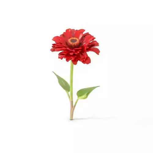 Vibrant Red Daisy model pack Low-poly 3D model