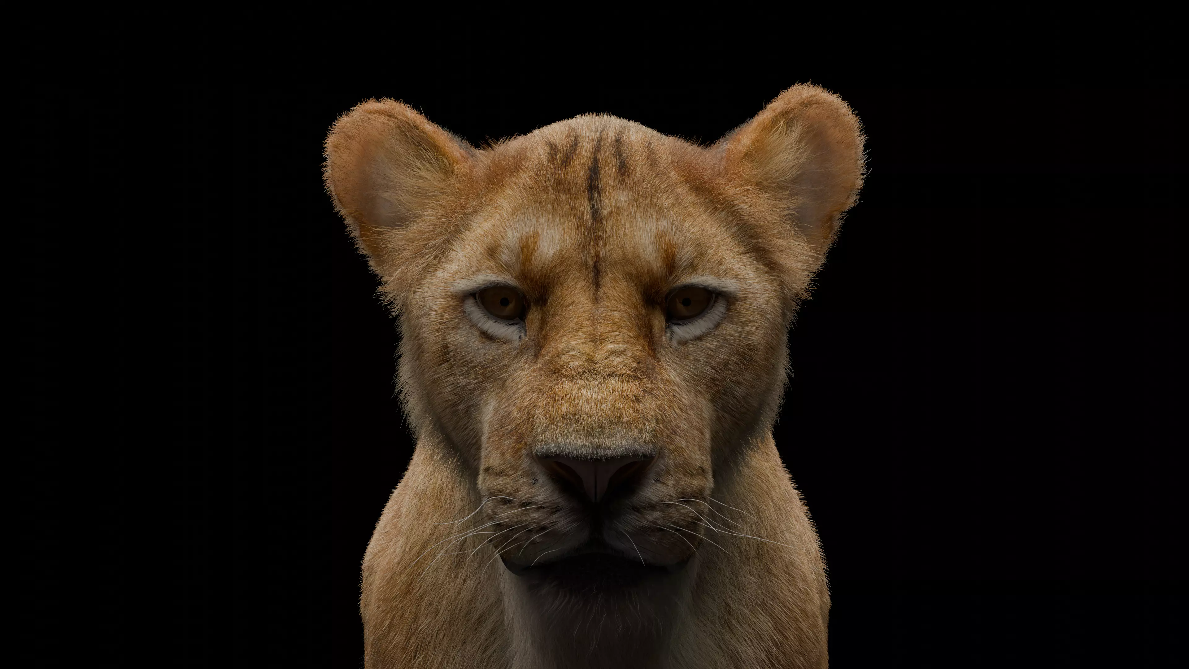 Realistic Lioness 3D Model Low-poly 3D model_0