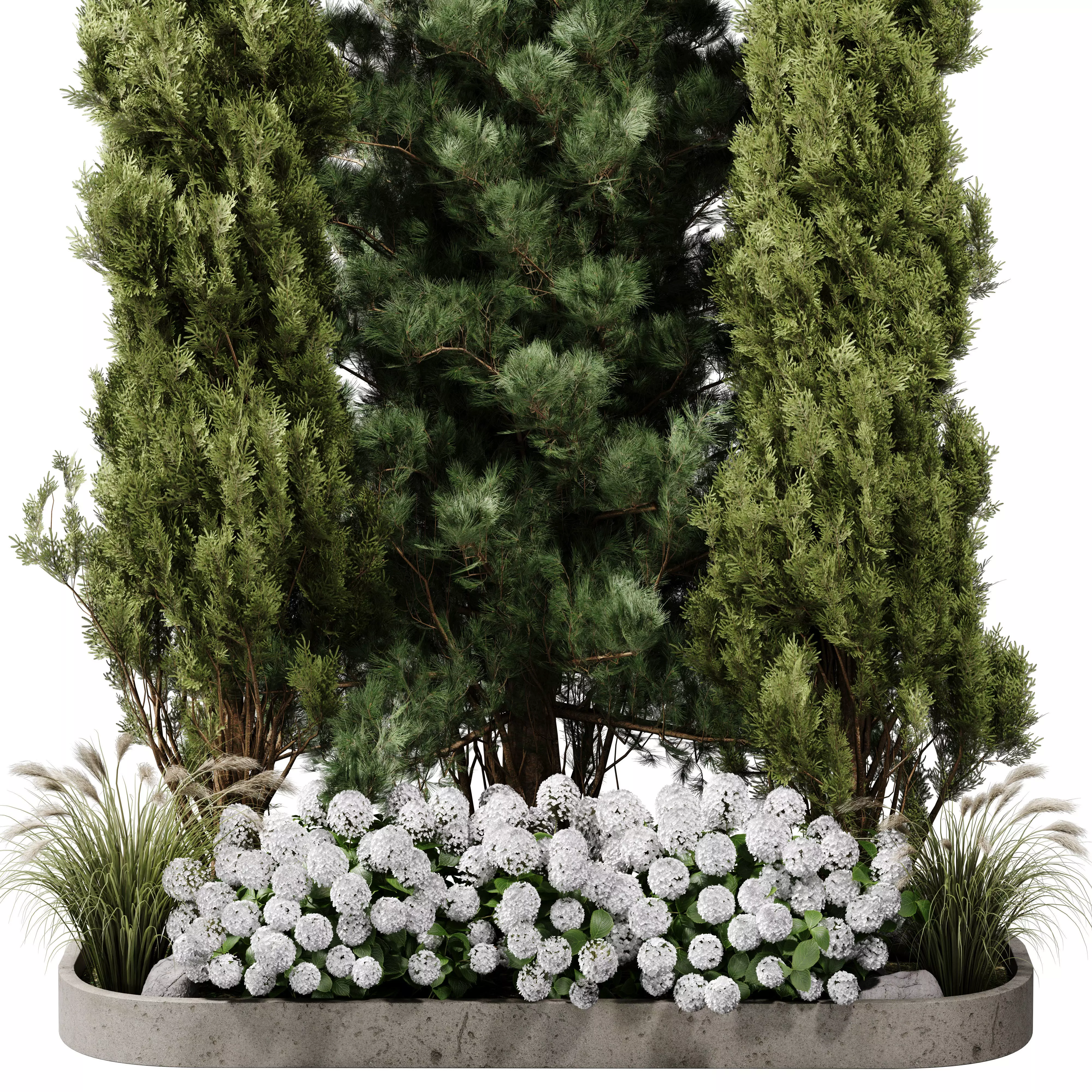 Outdoor Plants 15 - Pine And hydrangea 3D model_2