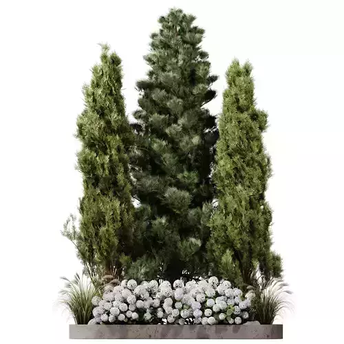 Outdoor Plants 15 - Pine And hydrangea