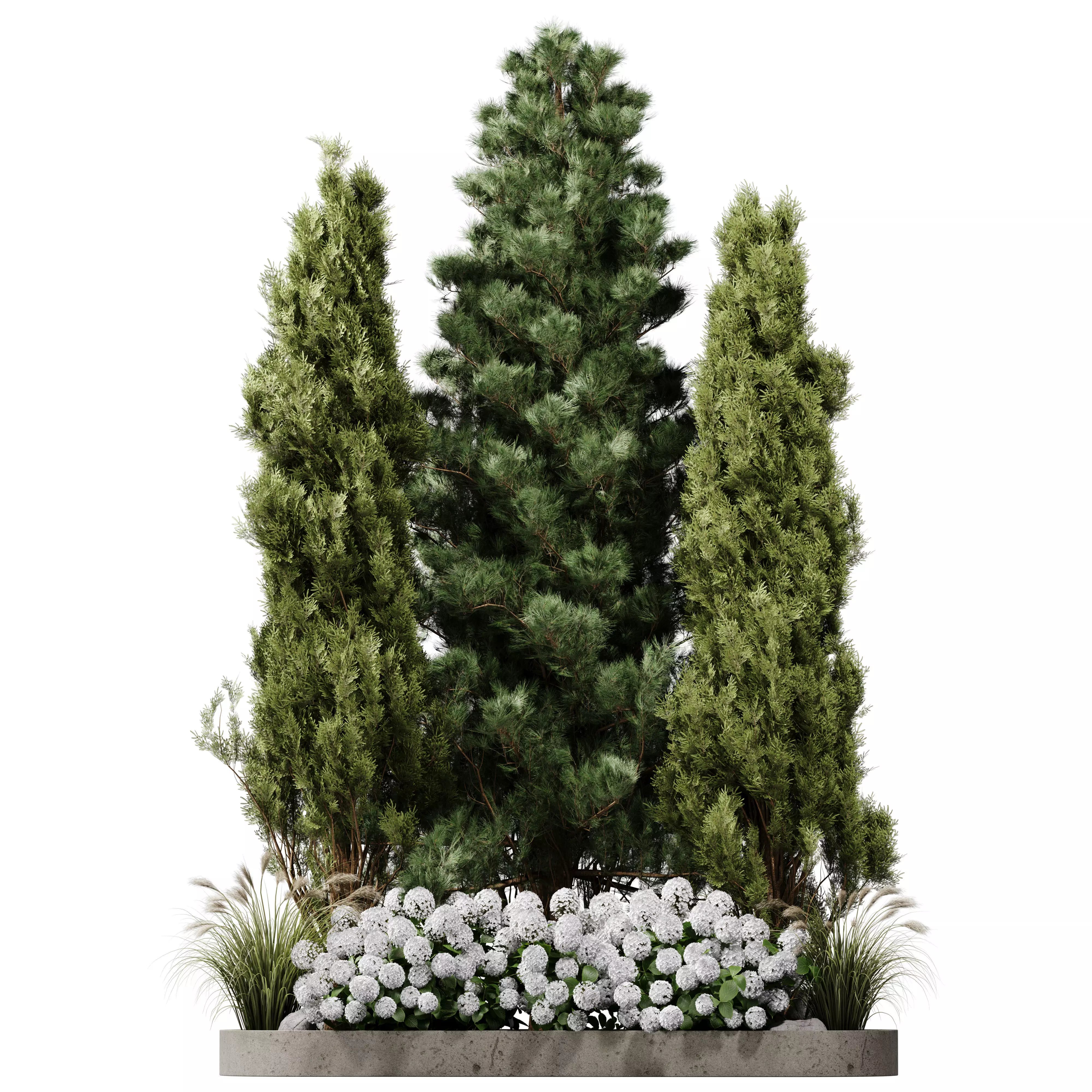 Outdoor Plants 15 - Pine And hydrangea 3D model_0