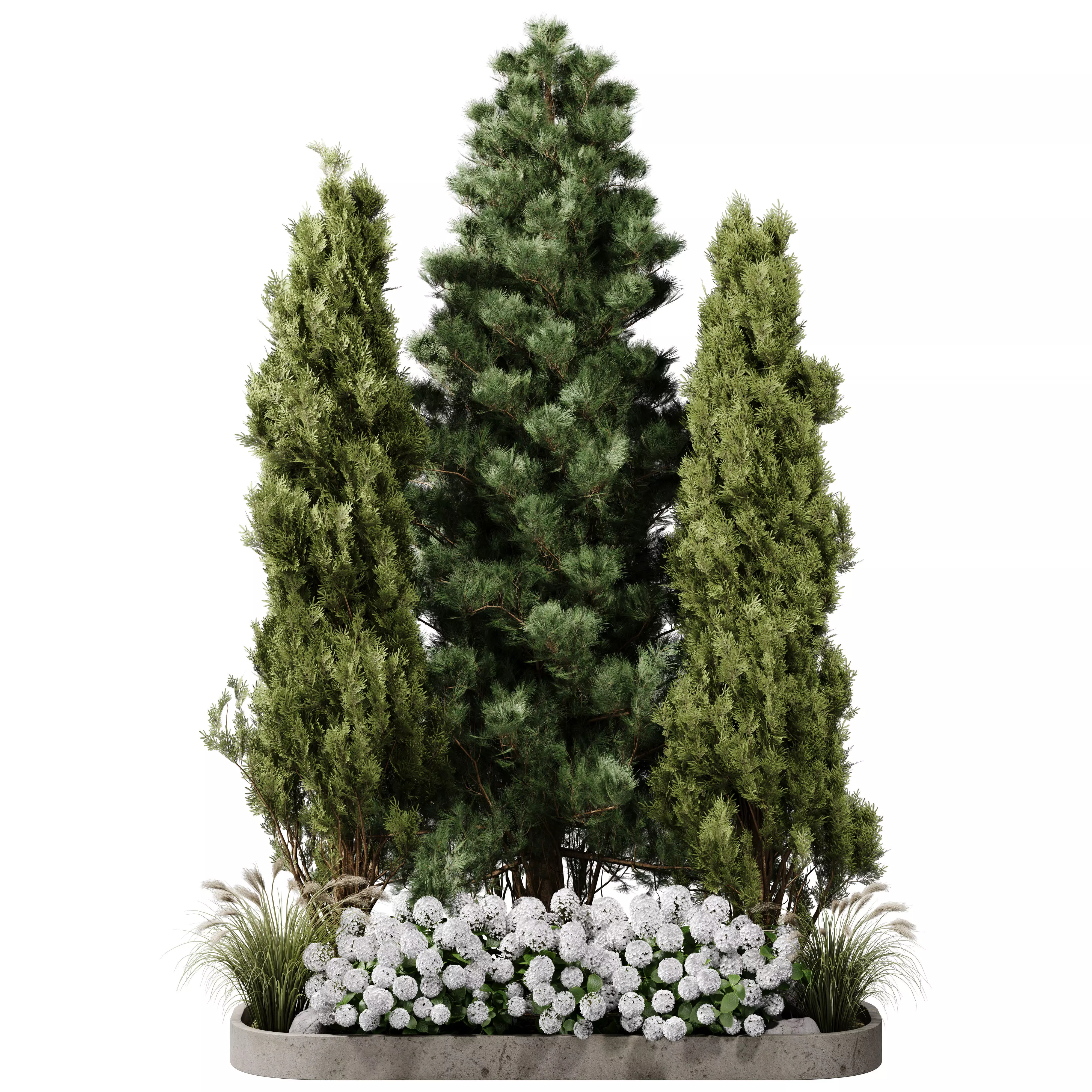 Outdoor Plants 15 - Pine And hydrangea 3D model_1