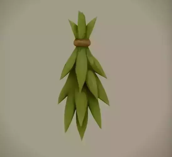 Bundled green leaves with rope