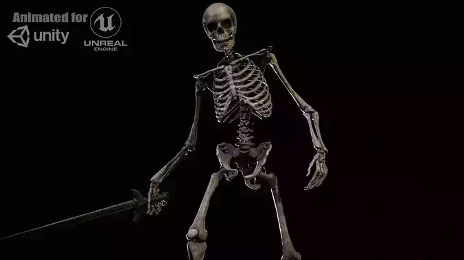 OldSkeleton Low-poly 3D model