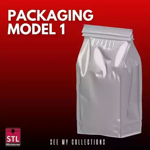 Packaging Model 1 STL  Rectangular Pouch Mockup 3D print model
