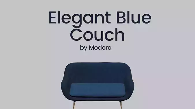 Elegant Blue Couch