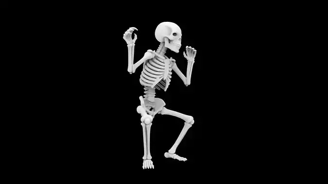 Cute Skeleton 3D Print Model