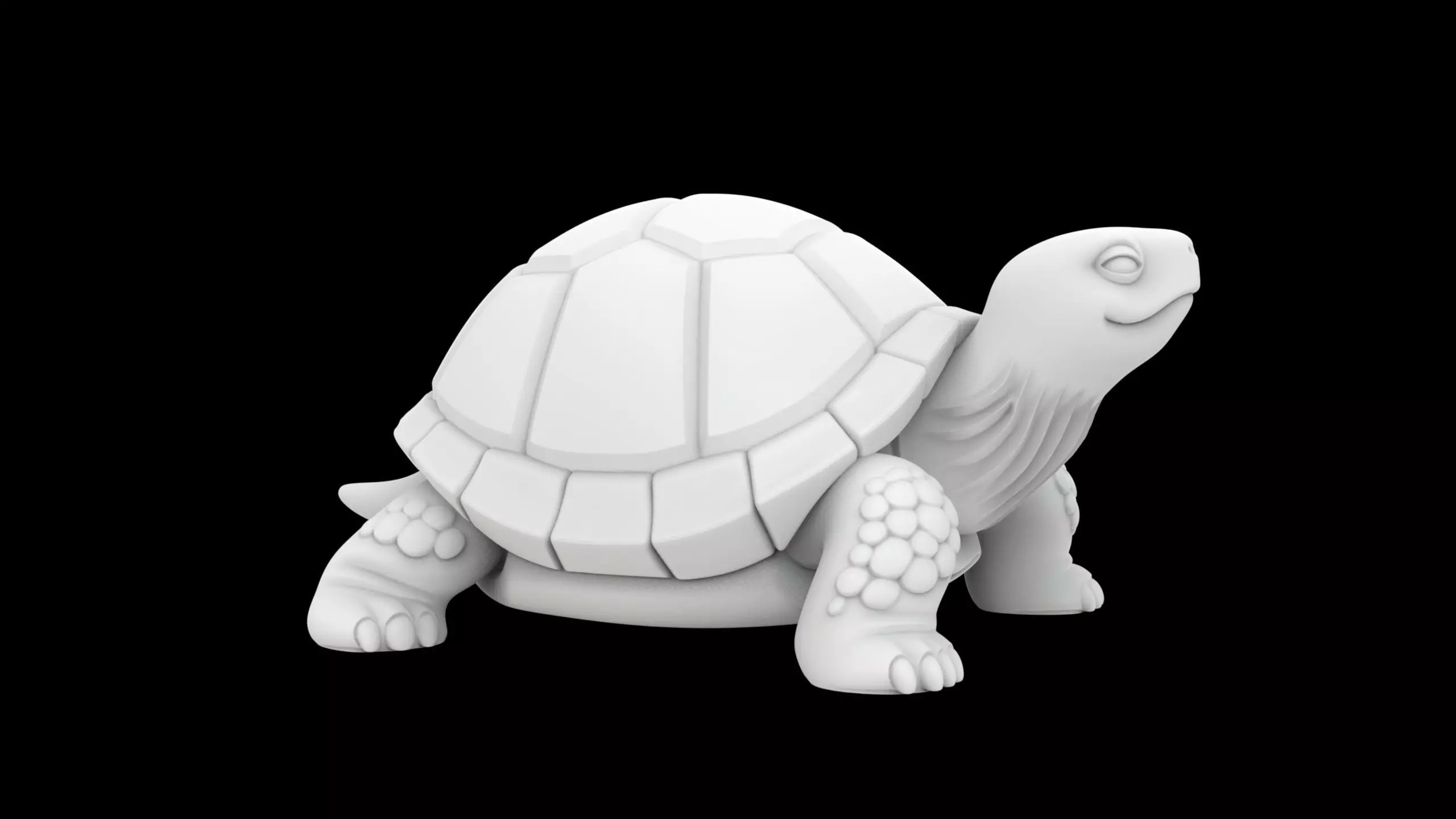 Cute Turtle 3D Print Model 3D print model